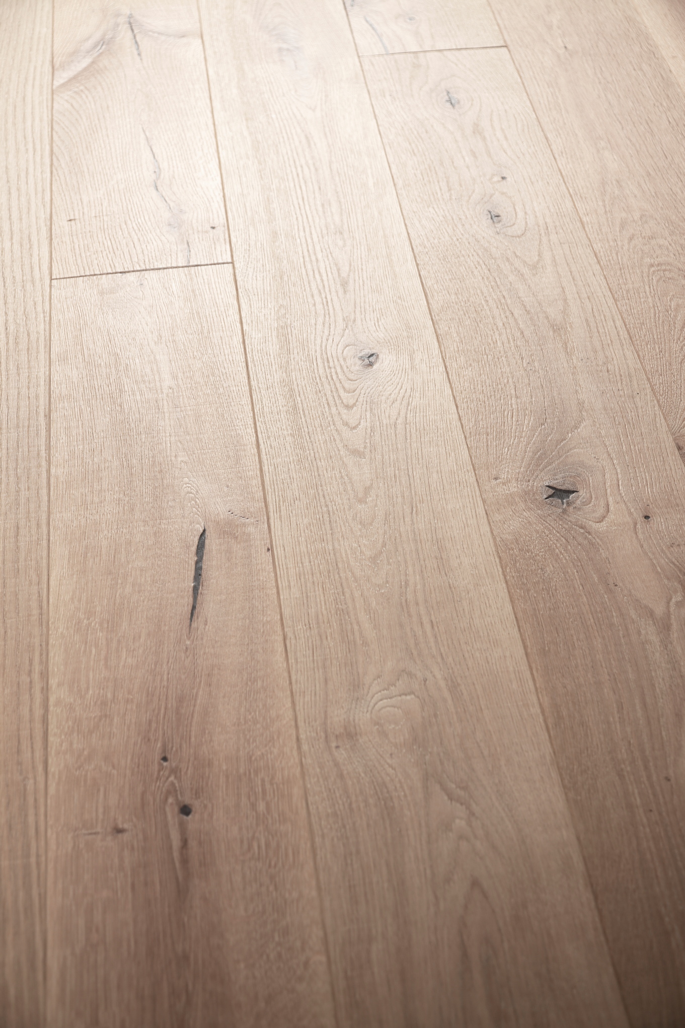 Gallery Item 2
