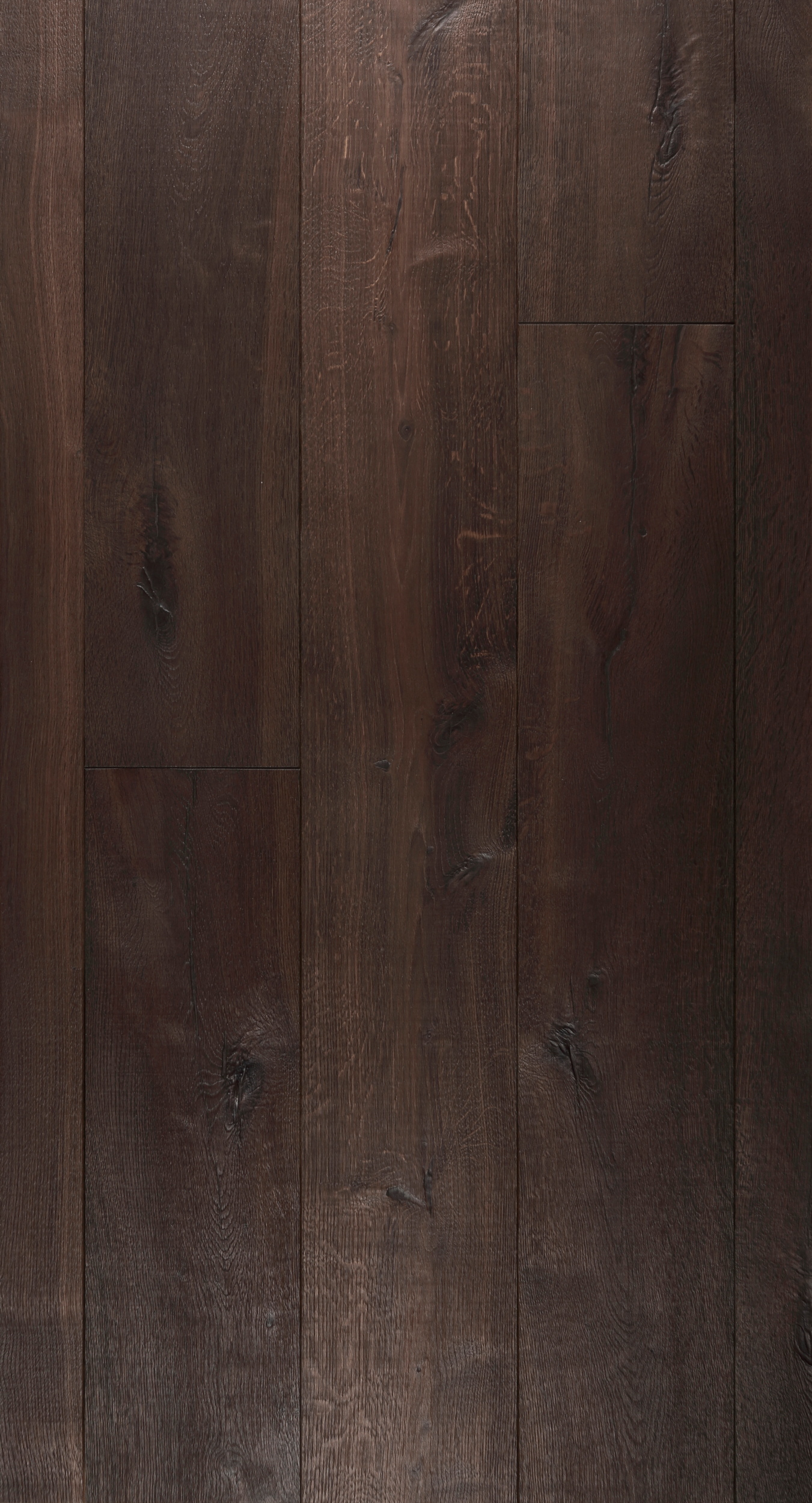 Gallery Item 1